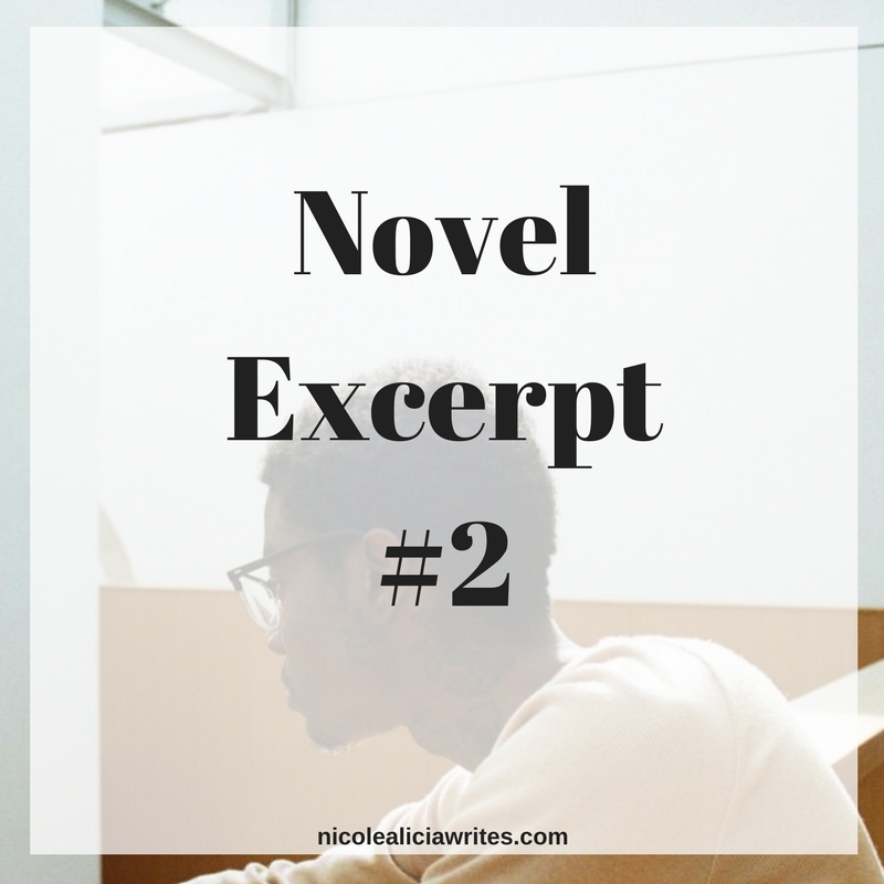 Novel Excerpt #2