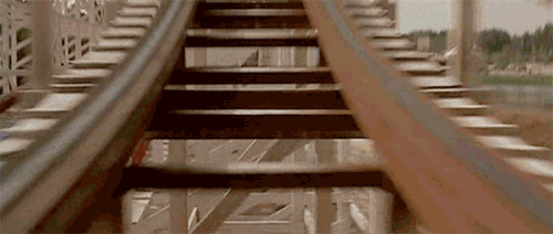 roller coaster GIF-downsized